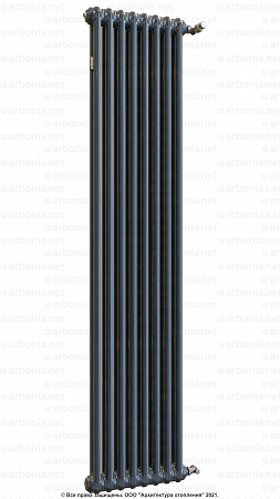 Вертикальный радиатор Arbonia 2180/08 RAL 7016 Anthracite grey с боковой подводкой