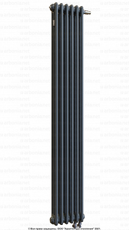 Вертикальный радиатор Arbonia 3180/06 N69 твв RAL 7016 Anthracite grey с нижней подводкой