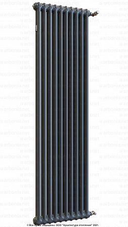 Вертикальный радиатор Arbonia 2180/10 RAL 7016 Anthracite grey с боковой подводкой