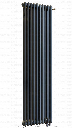 Вертикальный радиатор Arbonia 3180/10 N69 твв RAL 7016 Anthracite grey с нижней подводкой