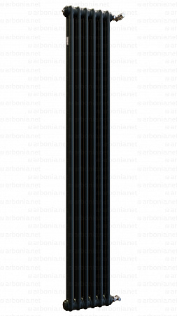Вертикальный радиатор Arbonia 2180/06 RAL 9005 matt чёрный с боковой подводкой