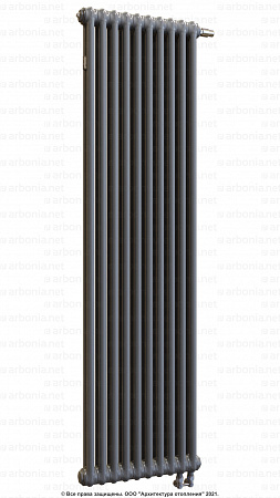 Вертикальный радиатор Arbonia 2180/10 N69 твв SF-3 Anthrazit metallic с нижней подводкой