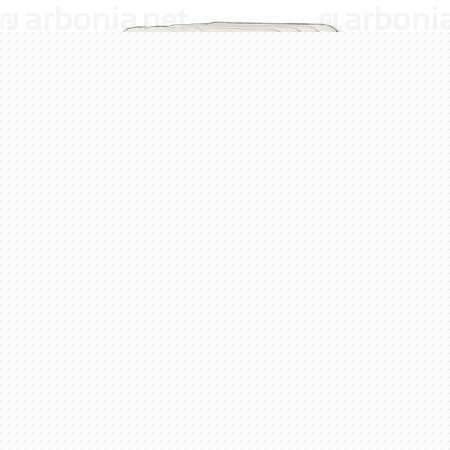 Радиатор Arbonia 5150/03 N69 твв RAL 9016